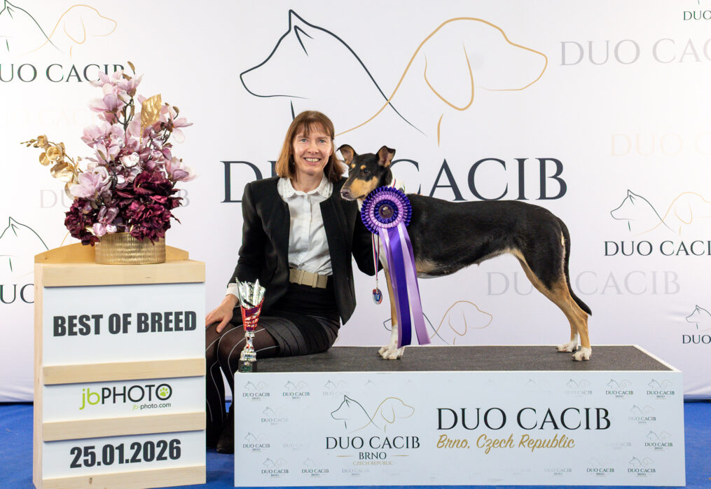 Mezinárodní výstava DUO CACIB Brno