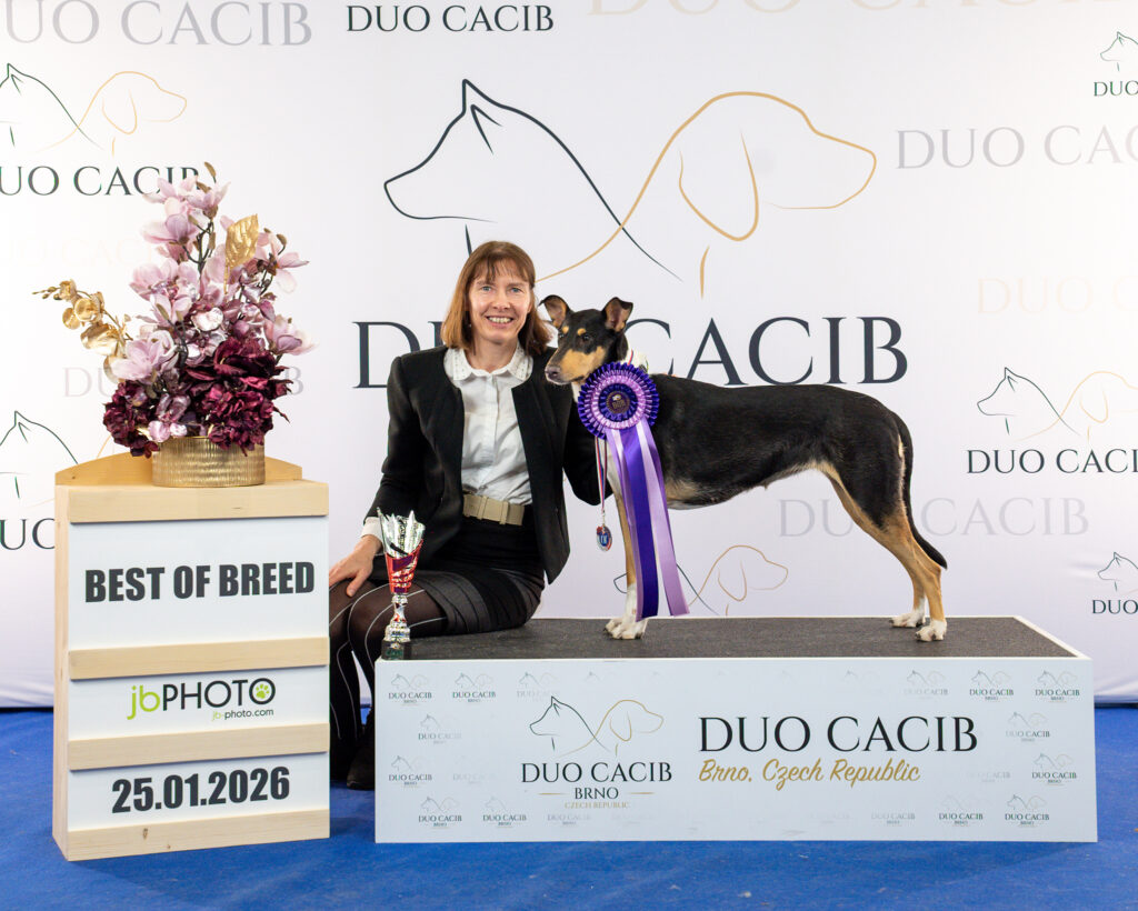 Mezinárodní výstava DUO CACIB Brno